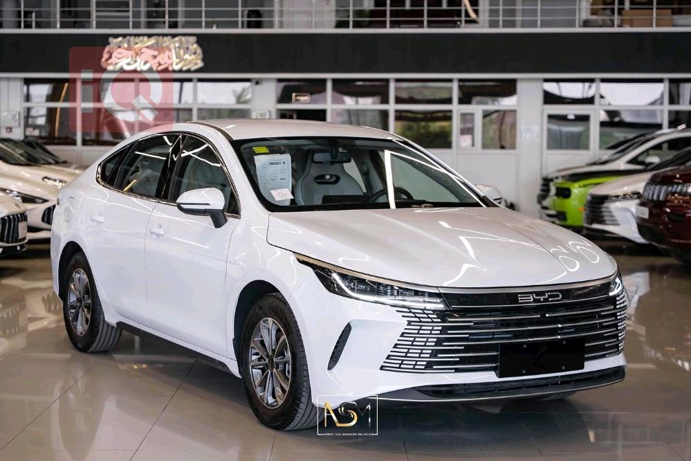 بی وای دی دیسترۆیەر 05